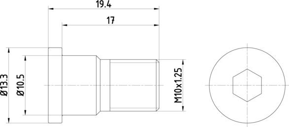 HELLA PAGID 8DZ 355 209-071 - Болт, диск гальмівного механізму autozip.com.ua