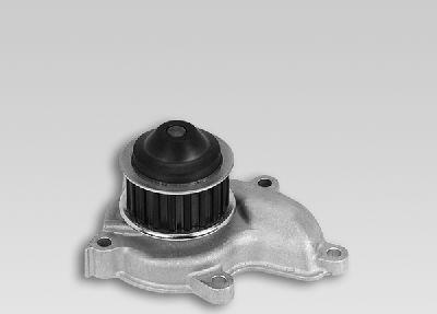 Hepu P752 - Водяний насос autozip.com.ua