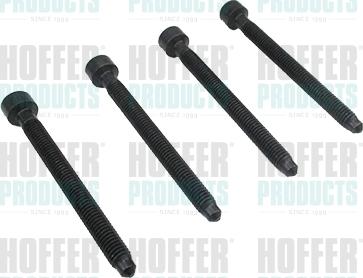 Hoffer 98093 - Гвинт, насос високого тиску autozip.com.ua