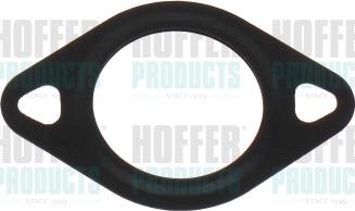 Hoffer 016169 - Прокладка, клапан повернення ОГ autozip.com.ua