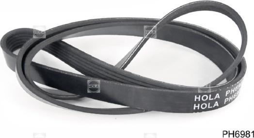 Hola PH6981 - Поліклиновий ремінь autozip.com.ua