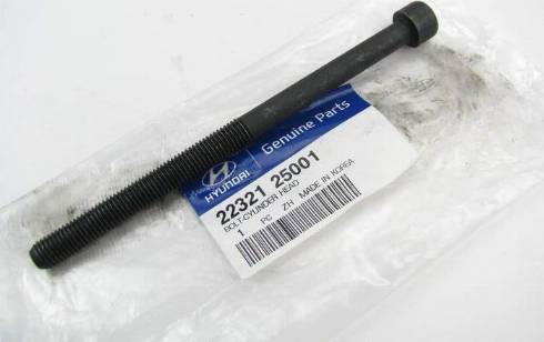 Hyundai 22321-25001 - Болт головки циліндра autozip.com.ua