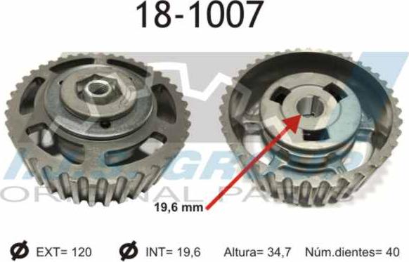 IJS GROUP 18-1007 - Шестерня, розподільчий вал autozip.com.ua