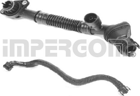IMPERGOM 4867 - Ремонтний набір, вентиляція картера autozip.com.ua