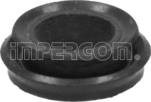 IMPERGOM 22377 - Манжета, головний гальмівний циліндр autozip.com.ua