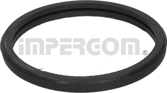 IMPERGOM 27056 - Прокладка, термостат autozip.com.ua