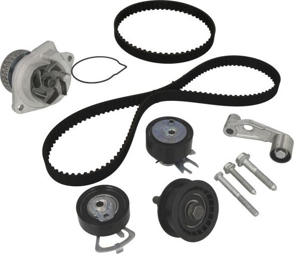 INA 530 0089 31 - Водяний насос + комплект зубчатого ременя autozip.com.ua