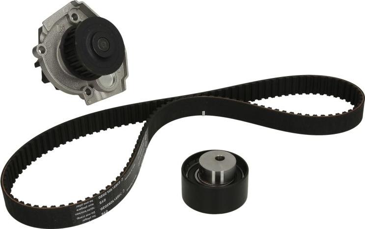 INA 530 0228 30 - Водяний насос + комплект зубчатого ременя autozip.com.ua