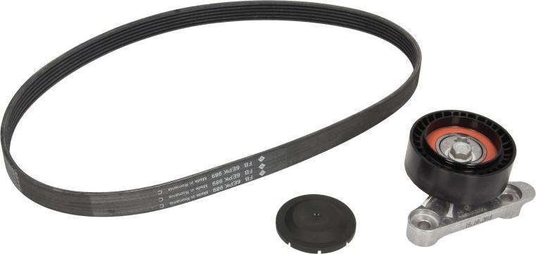 INA 529 0160 10 - Поликлиновий ремінний комплект autozip.com.ua
