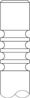 Intervalves 3861.239 - Випускний клапан autozip.com.ua