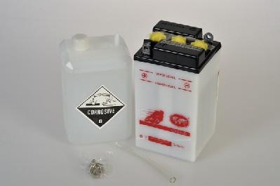 IPSA TMB00811 - Стартерна акумуляторна батарея, АКБ autozip.com.ua