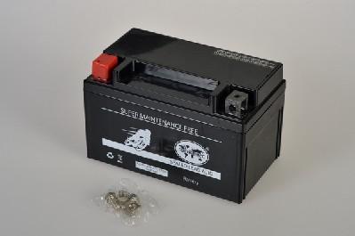 IPSA TMBA50922 - Стартерна акумуляторна батарея, АКБ autozip.com.ua