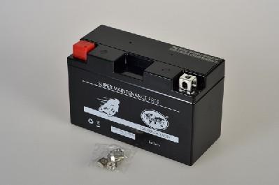 IPSA TMBA50719 - Стартерна акумуляторна батарея, АКБ autozip.com.ua
