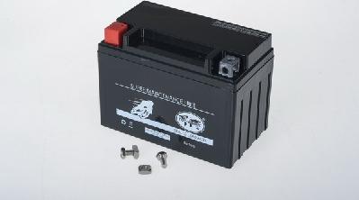 IPSA TMBA51101 - Стартерна акумуляторна батарея, АКБ autozip.com.ua