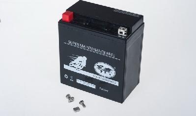 IPSA TMBA81600 - Стартерна акумуляторна батарея, АКБ autozip.com.ua
