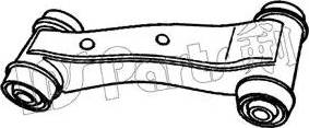 IPS Parts IMU-10101 - Важіль незалежної підвіски колеса autozip.com.ua