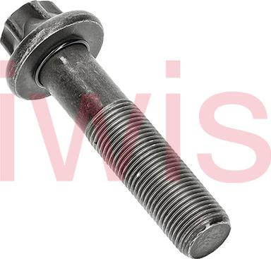 iwis Motorsysteme 59667 - Болт, шестерня - колінчастий вал autozip.com.ua