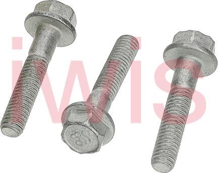 iwis Motorsysteme 59675 - Болт autozip.com.ua
