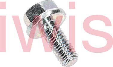 iwis Motorsysteme 59789 - Болт autozip.com.ua