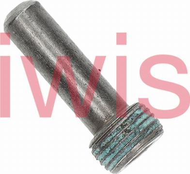iwis Motorsysteme 60815 - Болти напрямних, ланцюг приводу autozip.com.ua