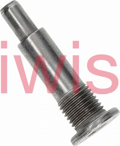iwis Motorsysteme 60249 - Болти напрямних, ланцюг приводу autozip.com.ua