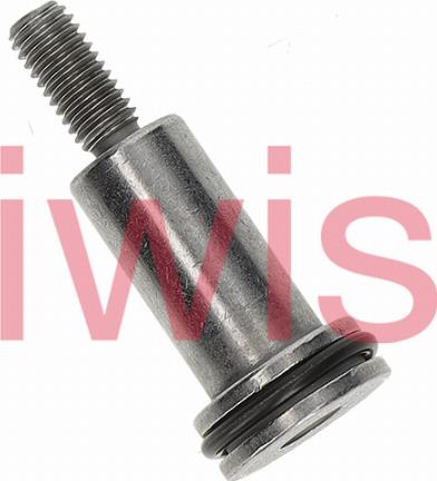 iwis Motorsysteme 60248 - Болти напрямних, ланцюг приводу autozip.com.ua