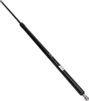 Japko ZSJ04021 - Газова пружина, кришка багажник autozip.com.ua