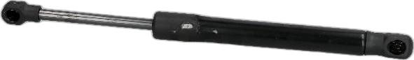 Japko ZSJ30009 - Газова пружина, кришка багажник autozip.com.ua