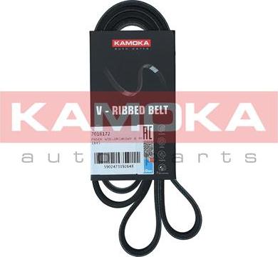 Kamoka 7016172 - Поліклиновий ремінь autozip.com.ua