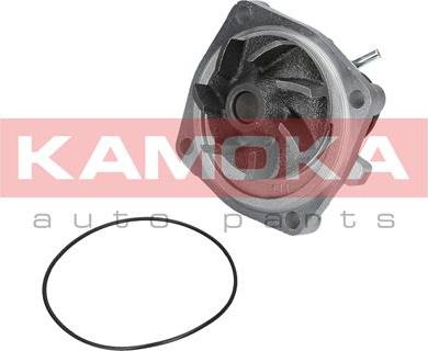 Kamoka T0006 - Водяний насос autozip.com.ua