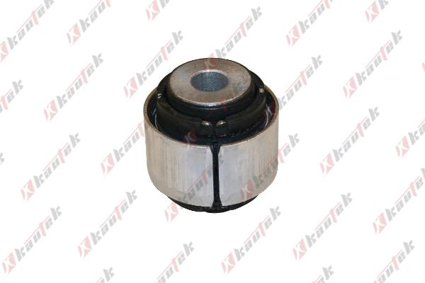 Kautek BM-BS096 - Важіль незалежної підвіски колеса autozip.com.ua