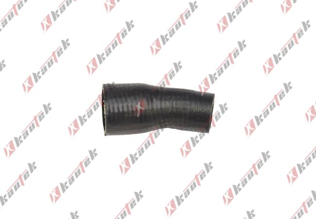 Kautek BM-CH009 - Шланг, вентиляція картера autozip.com.ua