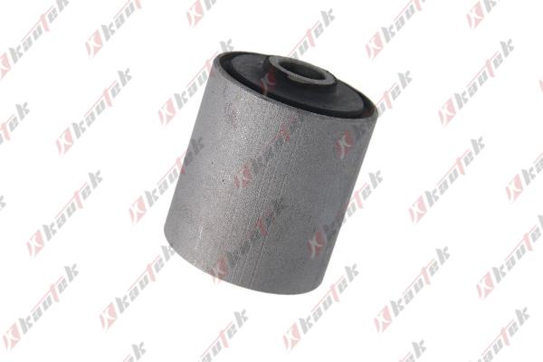 Kautek FD-BS165 - Підвіска, листова ресора autozip.com.ua