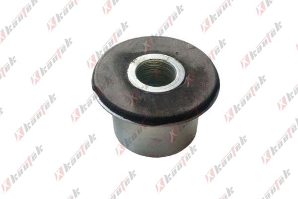 Kautek IV-BS016 - Підвіска, листова ресора autozip.com.ua