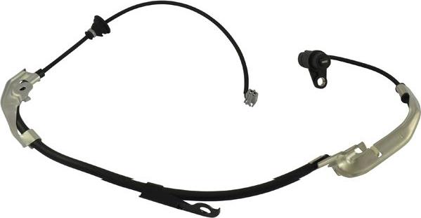 Kavo Parts BAS-9060 - Датчик ABS, частота обертання колеса autozip.com.ua