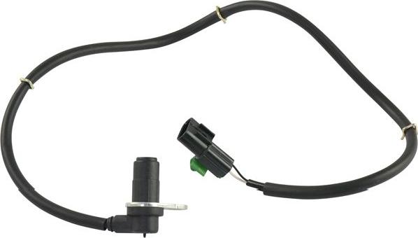 Kavo Parts BAS-5545 - Датчик ABS, частота обертання колеса autozip.com.ua