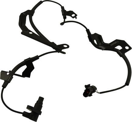 Kavo Parts BAS-5524 - Датчик ABS, частота обертання колеса autozip.com.ua