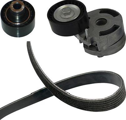 Kavo Parts DKM-4501 - Комплект клинового ременя autozip.com.ua