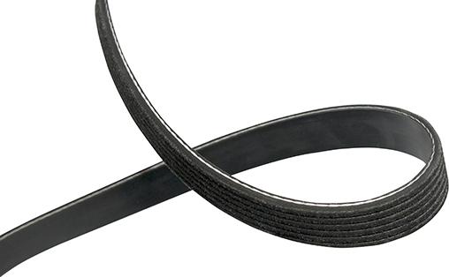 Kavo Parts DMV-8016 - Поліклиновий ремінь autozip.com.ua