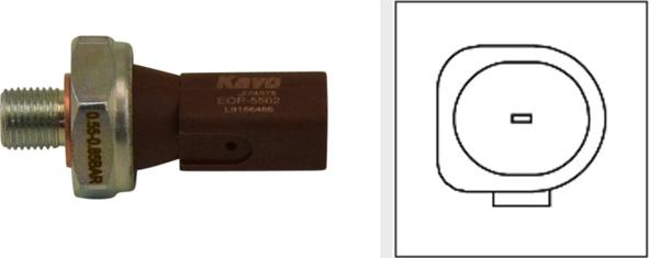 Kavo Parts EOP-5502 - Датчик, тиск масла autozip.com.ua