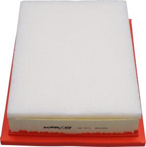 Kavo Parts FAF-10171 - Повітряний фільтр autozip.com.ua