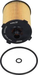 Kavo Parts FOF-10163 - Масляний фільтр autozip.com.ua