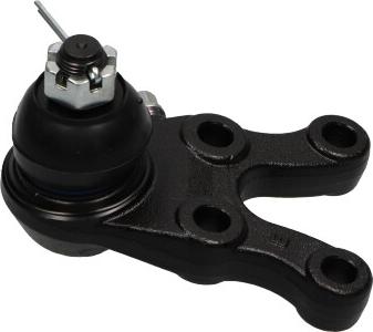 Kavo Parts SBJ-5524 - Шарова опора, несучий / направляючий шарнір autozip.com.ua