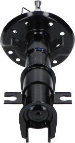 Kavo Parts SSA-10829 - Амортизатор autozip.com.ua