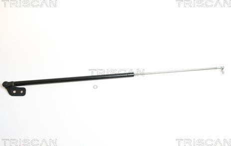 Kawe 8710 18209 - Газова пружина, кришка багажник autozip.com.ua