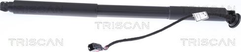 Kawe 8710 27302 - Газова пружина, кришка багажник autozip.com.ua