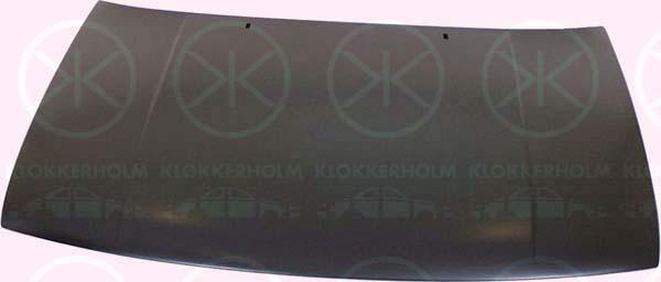 Klokkerholm 9542280 - Капот двигуна autozip.com.ua