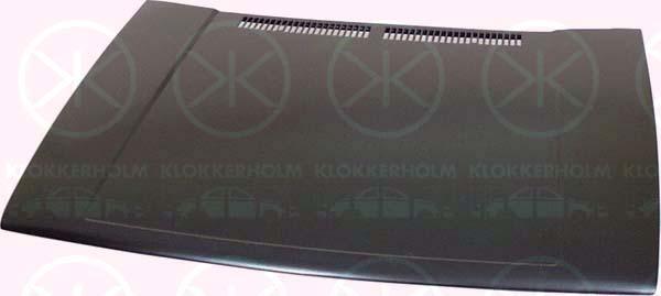 Klokkerholm 9521281 - Капот двигуна autozip.com.ua