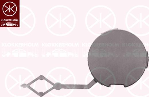 Klokkerholm 5563966A1 - Заслінка, буксирний гак autozip.com.ua