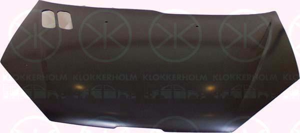 Klokkerholm 5507280 - Капот двигуна autozip.com.ua